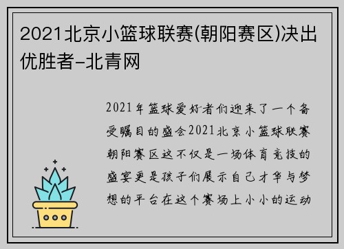 2021北京小篮球联赛(朝阳赛区)决出优胜者-北青网