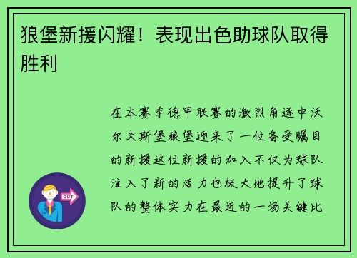 狼堡新援闪耀！表现出色助球队取得胜利